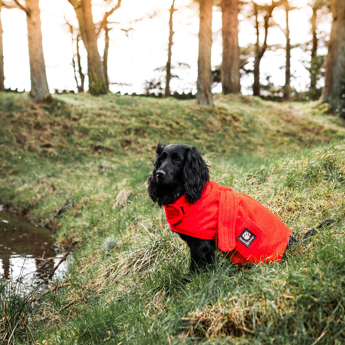 Dog Drying Robe Red - Image 4