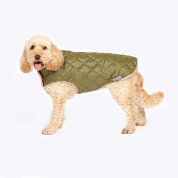 Quilted Dog Coat Green