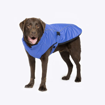 Sports Luxe Dog Coat Blue
