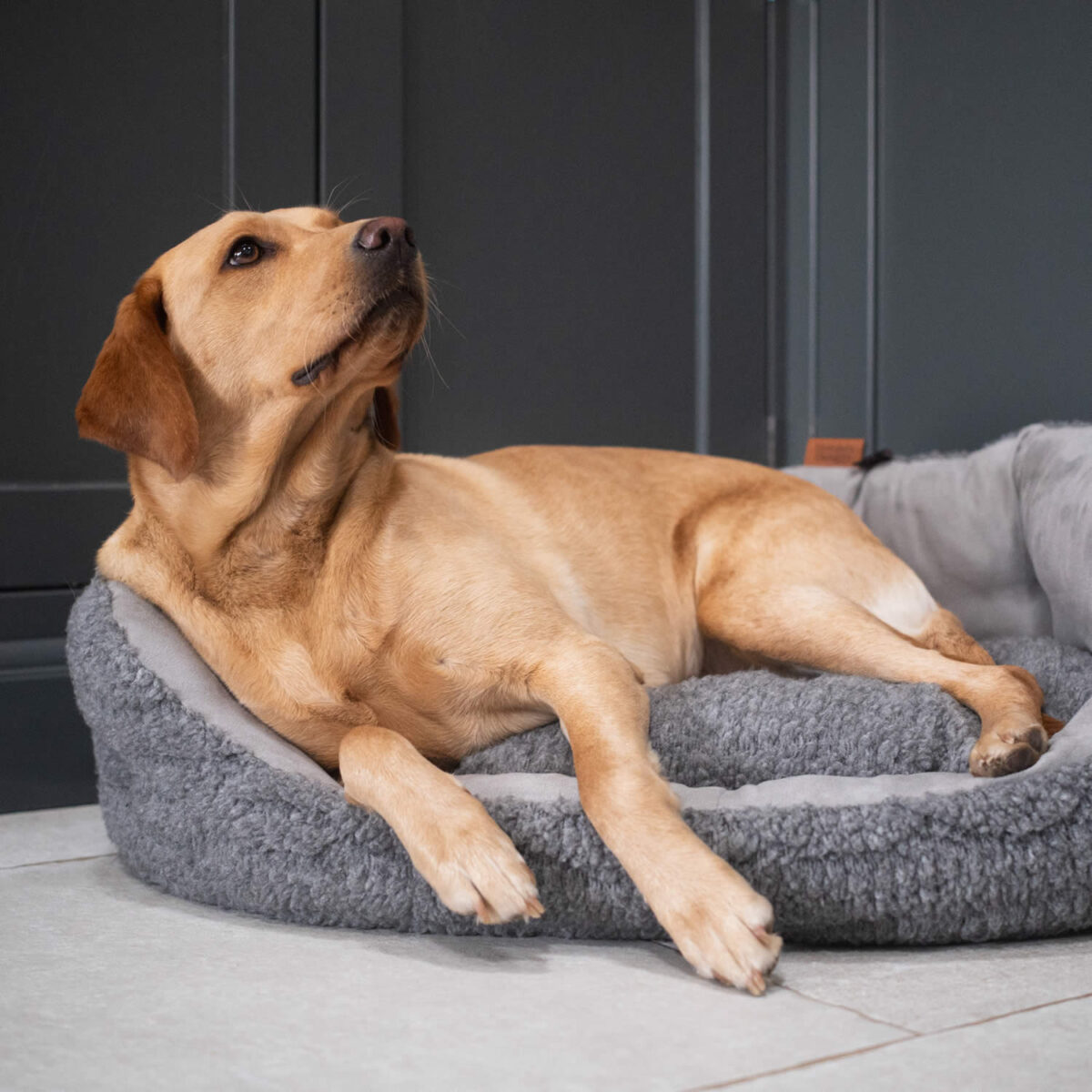 Bobble Pewter Deluxe Slumber Bed - Image 6