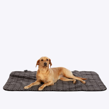 Sherpa Fleece Charcoal Arrows Blanket