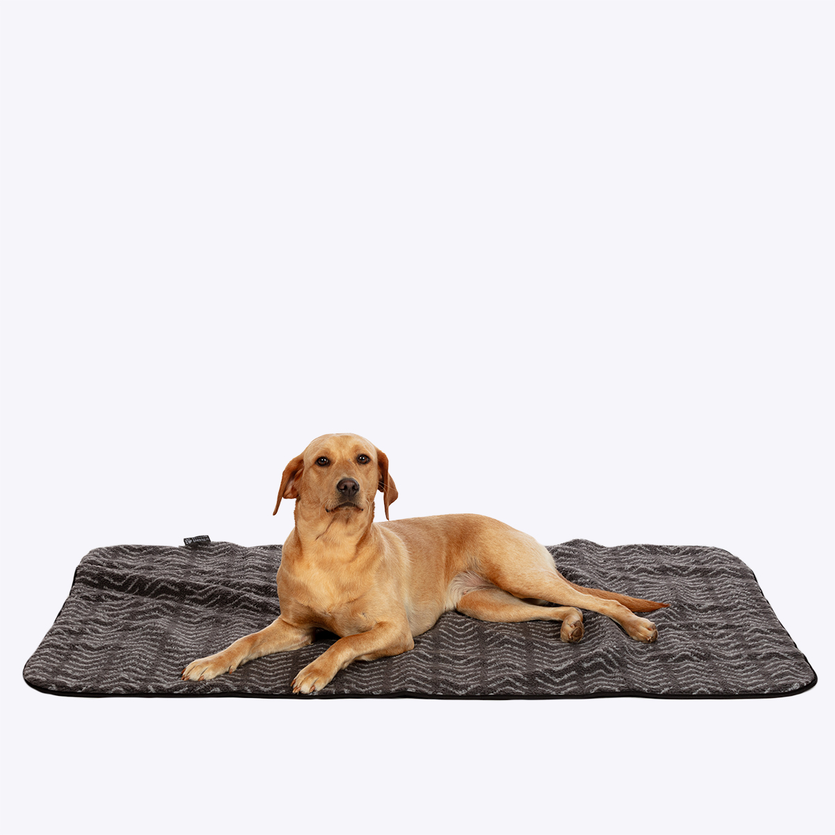 Sherpa Fleece Charcoal Arrows Blanket