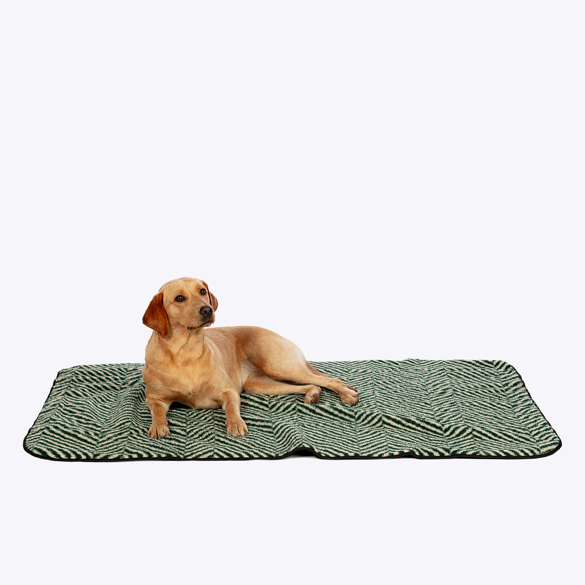 Sherpa Fleece Green Herringbone Blanket