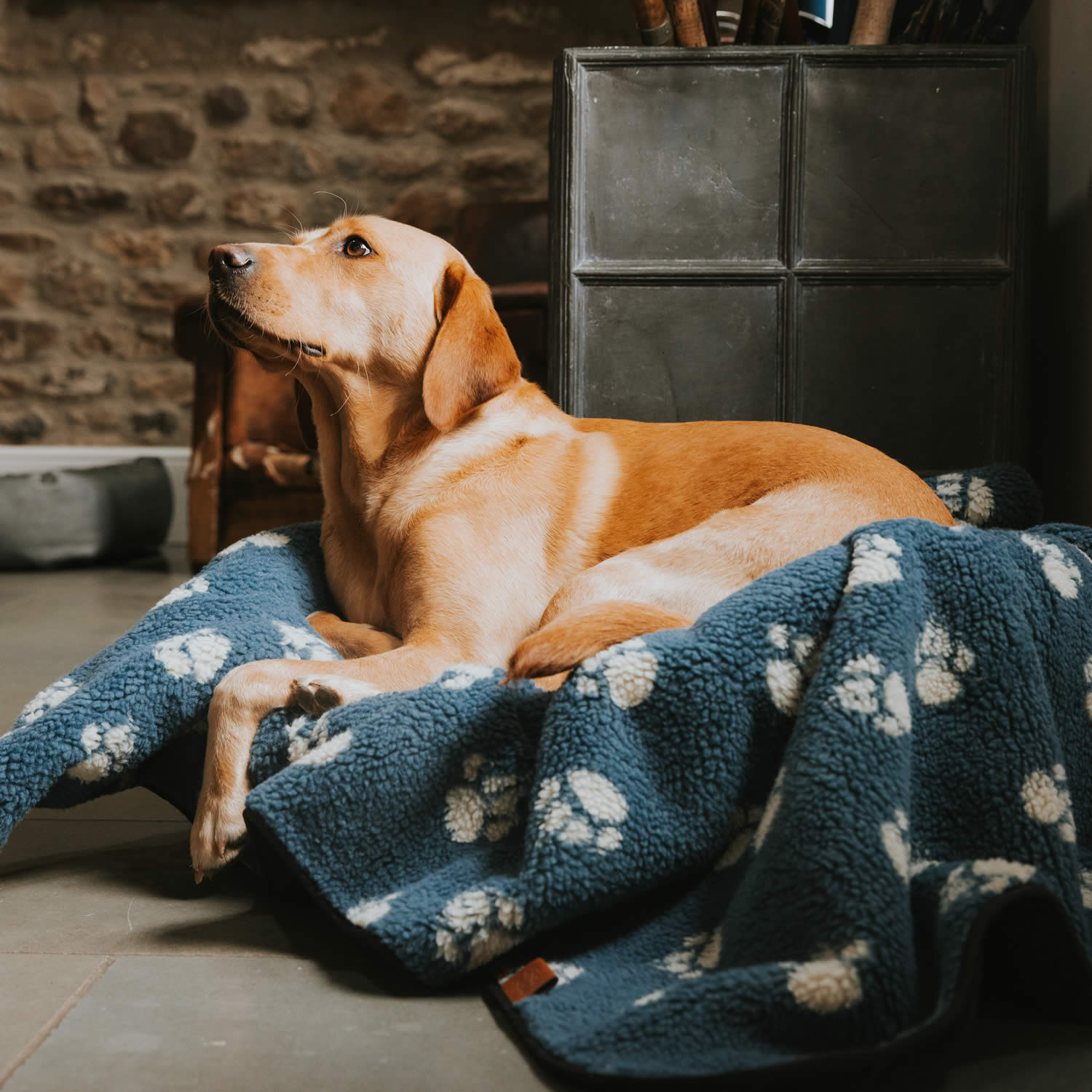 Sherpa Fleece Harbour Paw Blanket - Image 4