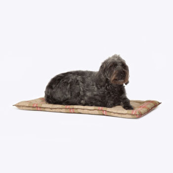 Newton Moss Crate Mattress