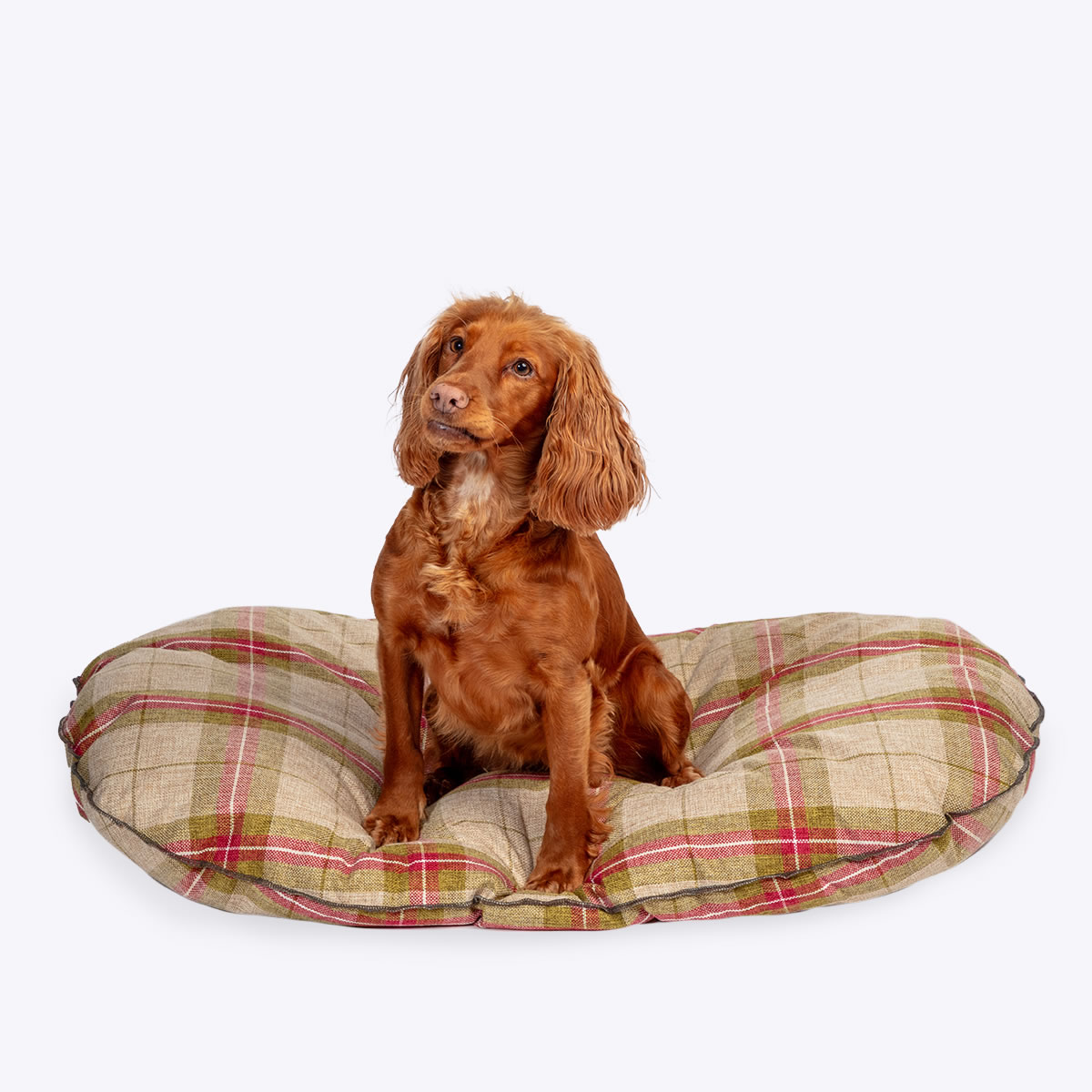 Newton Moss Quilted Mattress