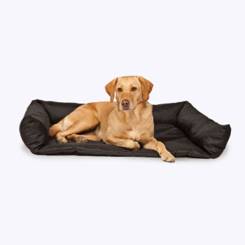 Boot Bed