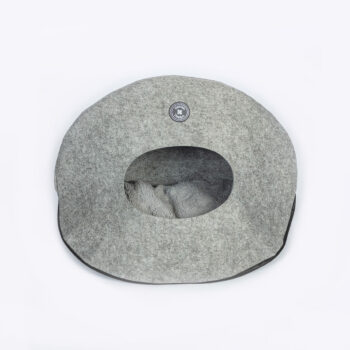 Cat Pebble Bed