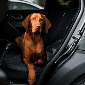 Car Seat Cover Grey