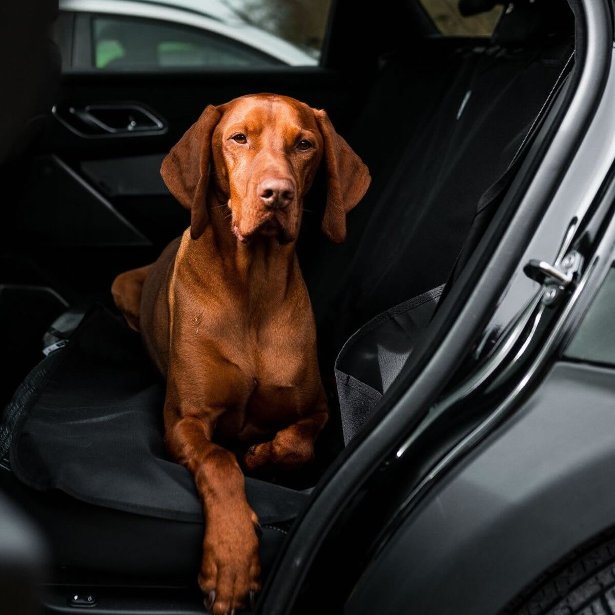 Car Seat Cover Grey