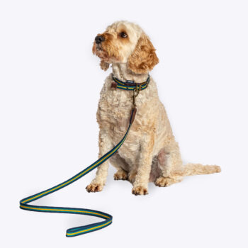 FatFace Bold Stripe Woven Lead