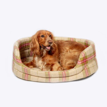Newton Moss Slumber Bed