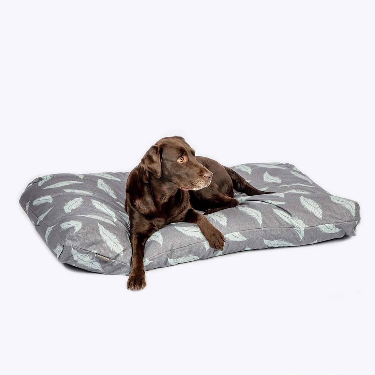 Retreat Feathers Grey Duvet