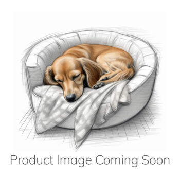 Mattress Bed Replacements