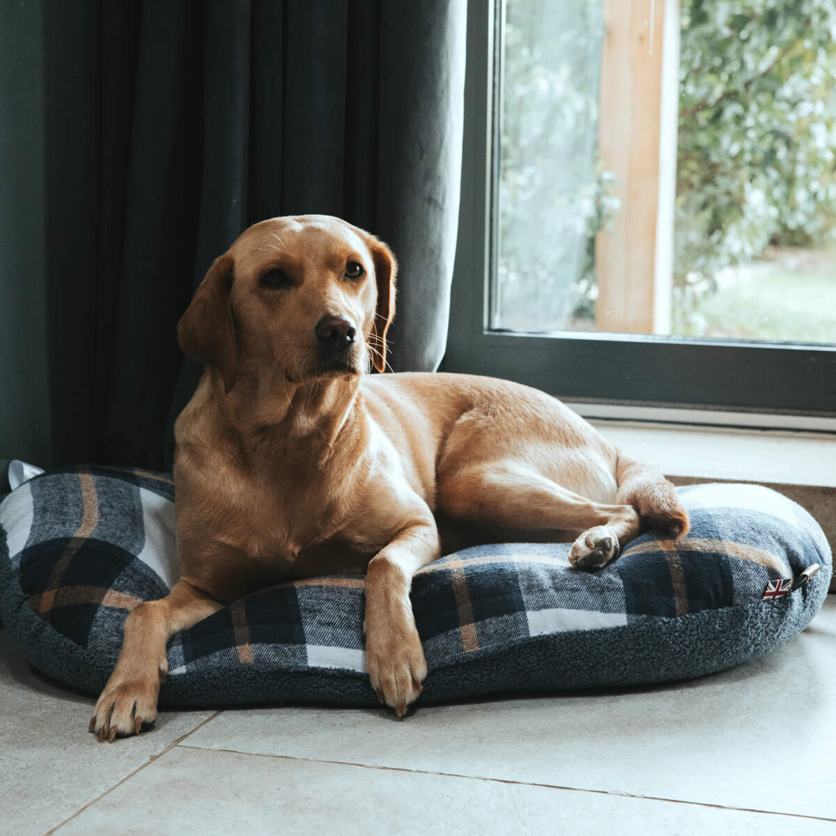 Bowmore Navy Quilted Mattress - Image 5