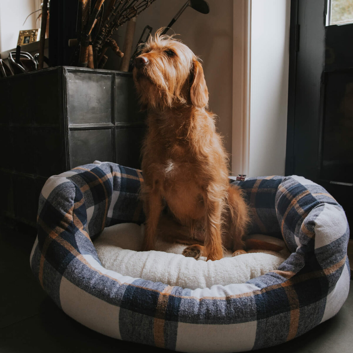Bowmore Navy Deluxe Slumber Bed - Image 7