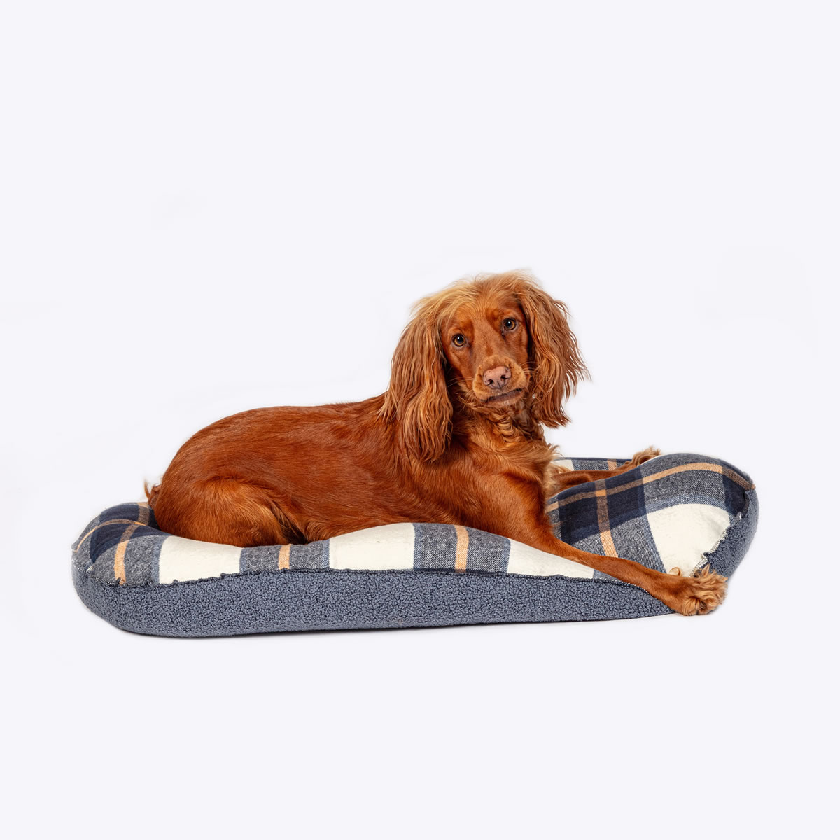 Bowmore Navy Quilted Mattress