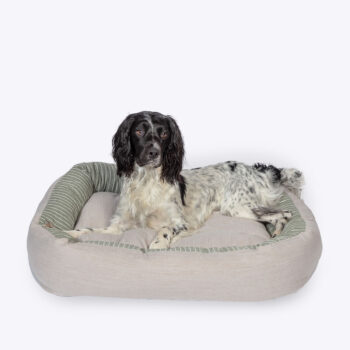 Rustic Stripes Sage Snuggle Bed
