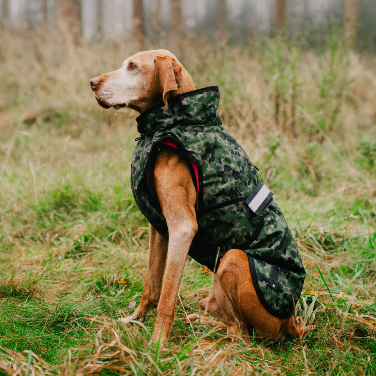 3-in-1 Dog Coat Camo/Pink - Image 12
