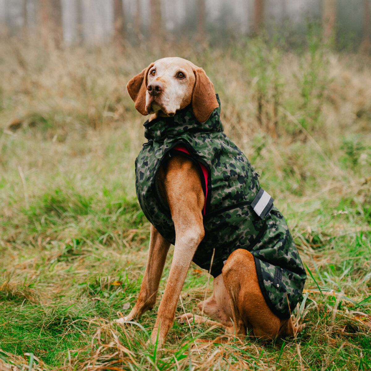 3-in-1 Dog Coat Camo/Pink - Image 13