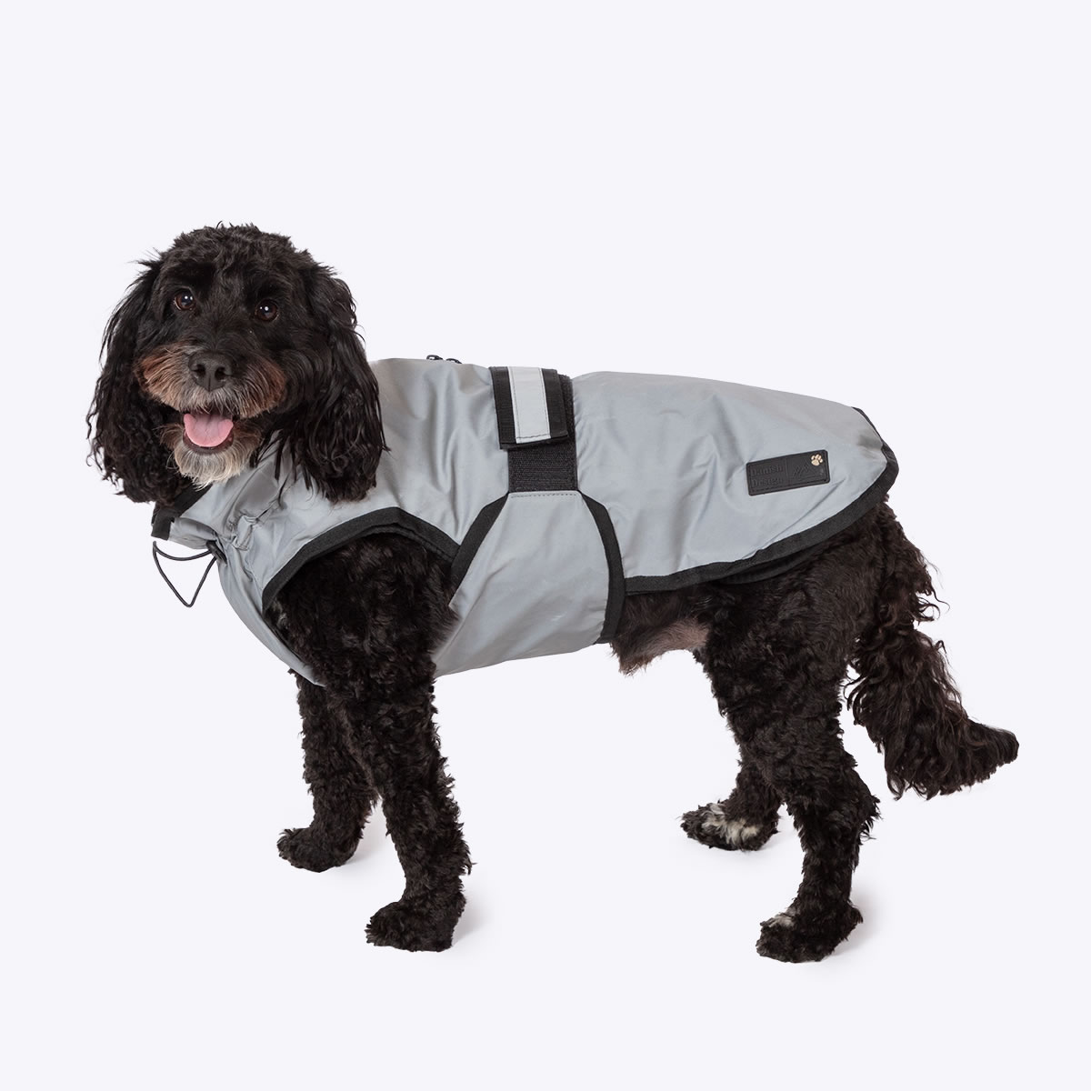 3-in-1 Dog Coat Light Reflective