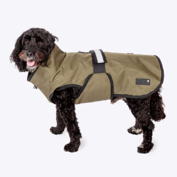3-in-1 Dog Coat Olive