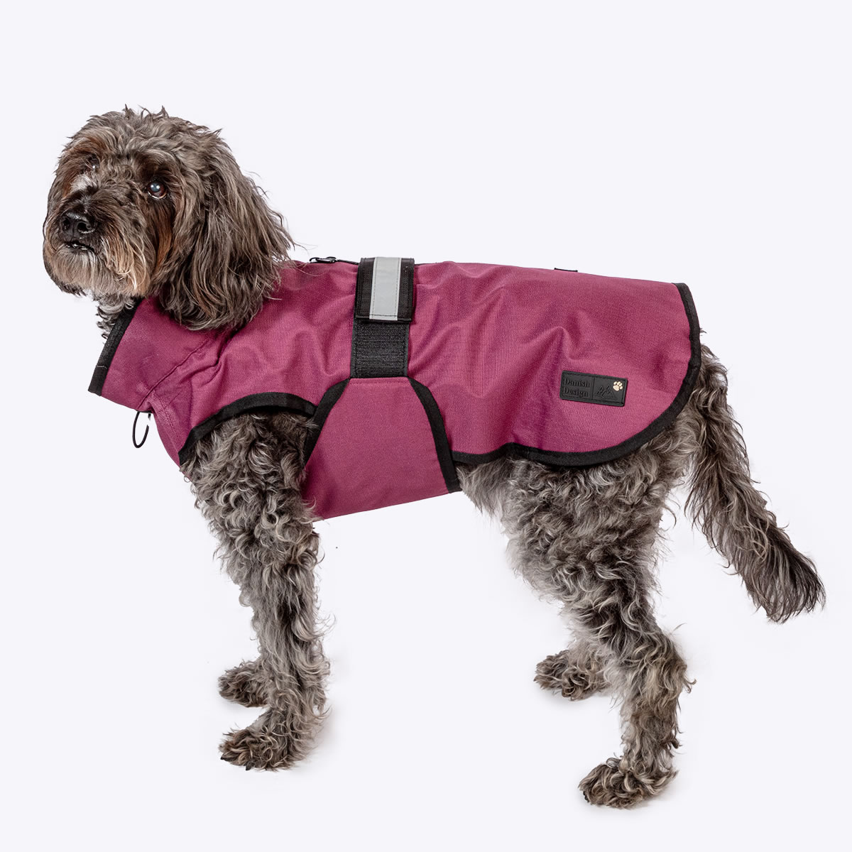 3-in-1 Dog Coat Plum