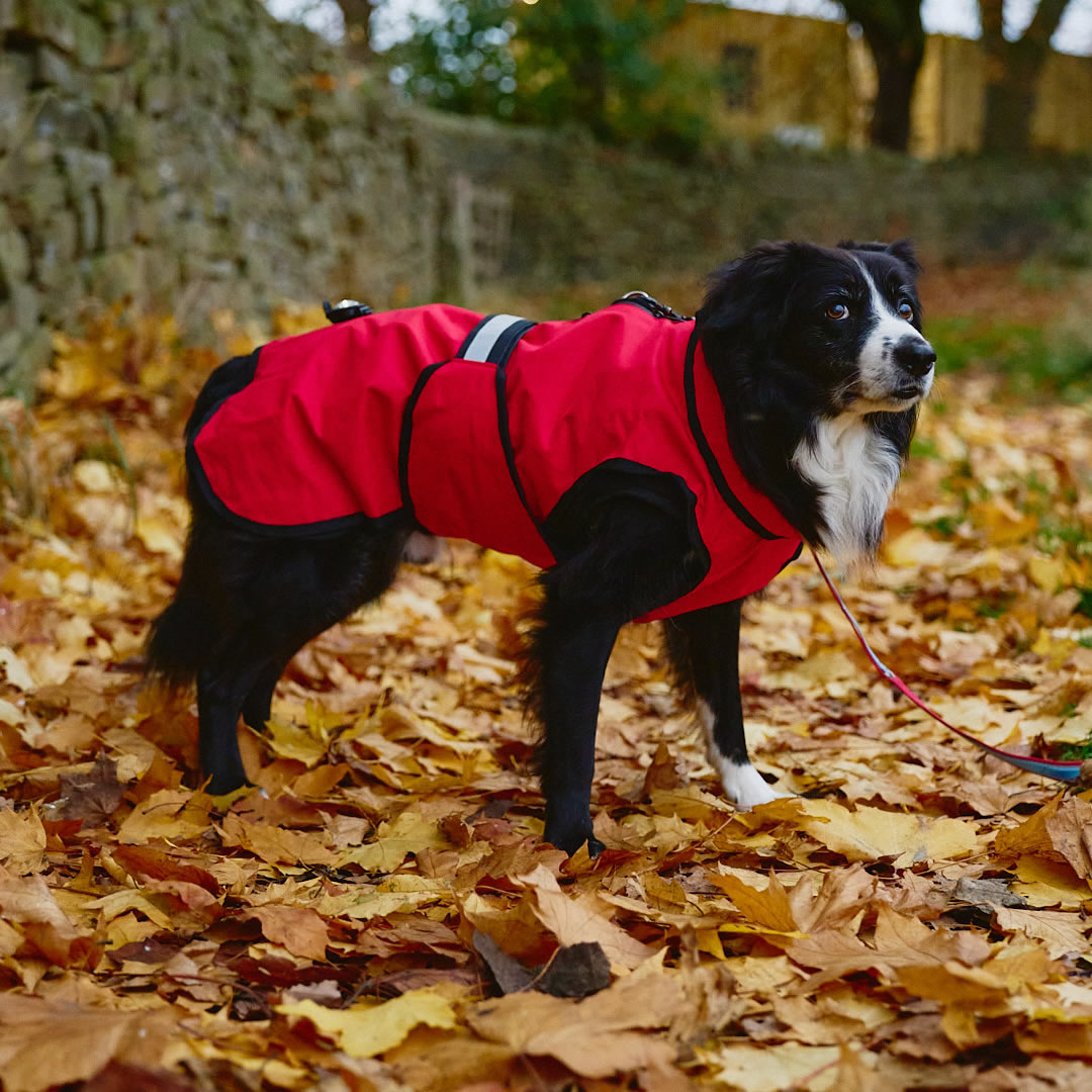 3-in-1 Dog Coat Red - Image 12