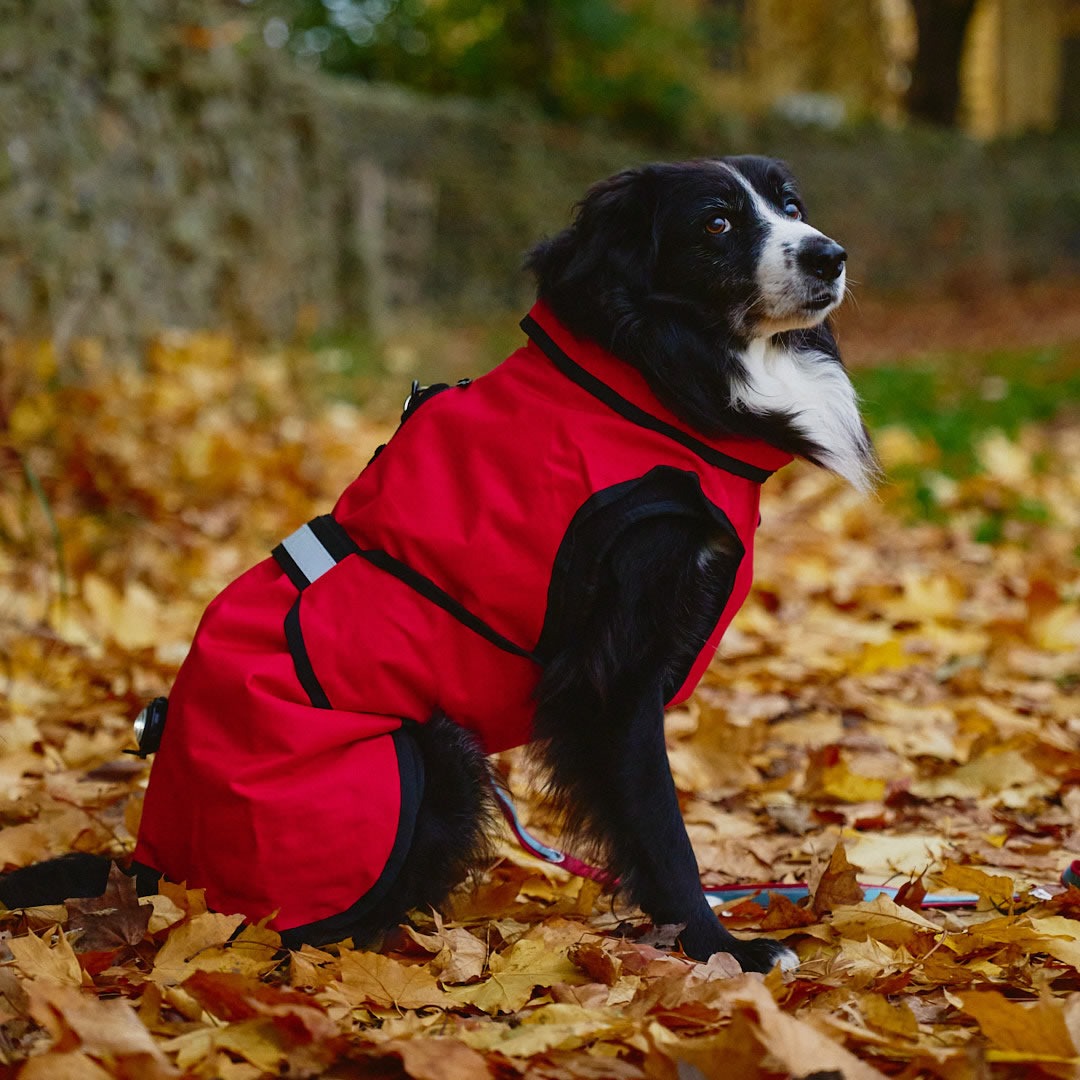 3-in-1 Dog Coat Red - Image 13