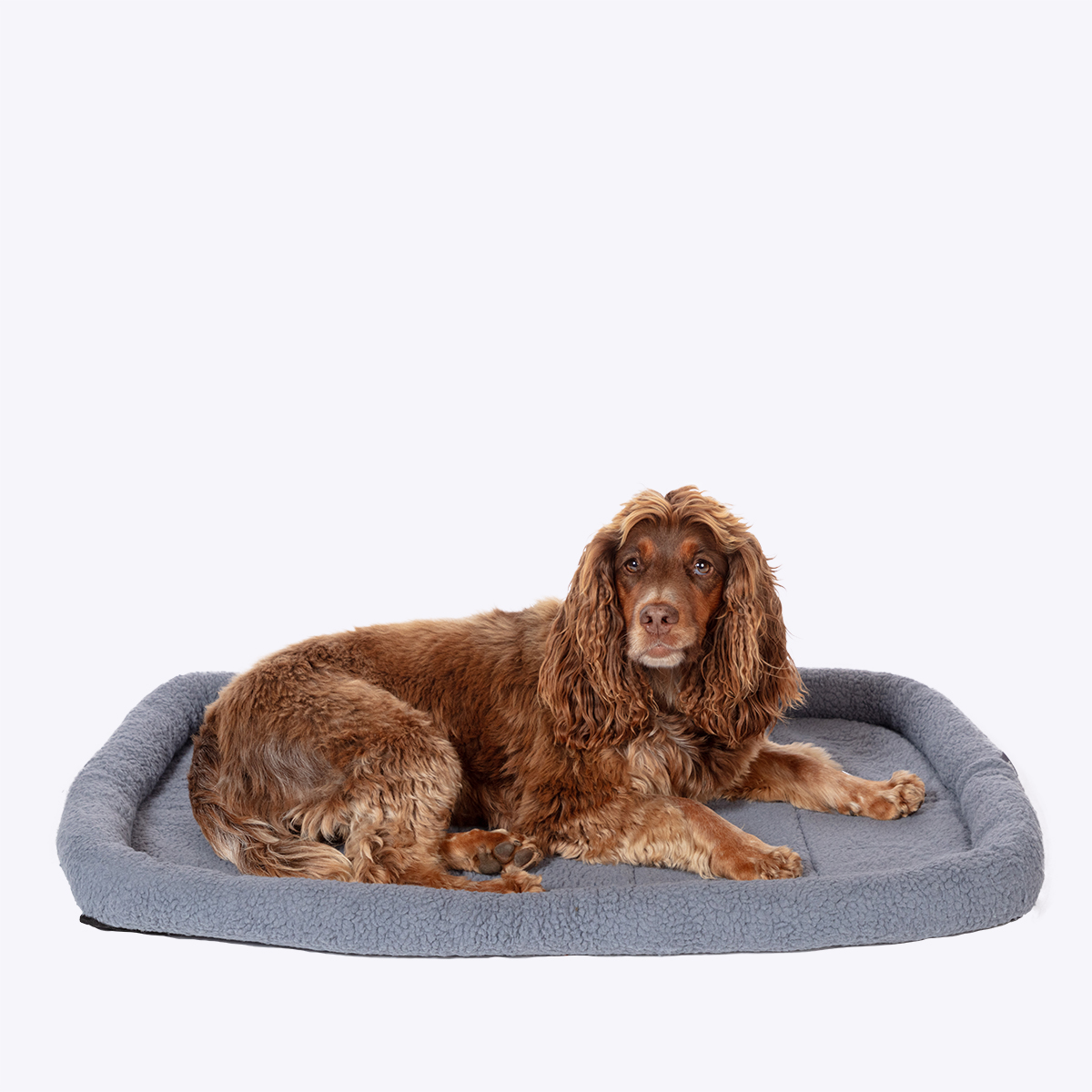 Danish Essentials Mattress Charcoal