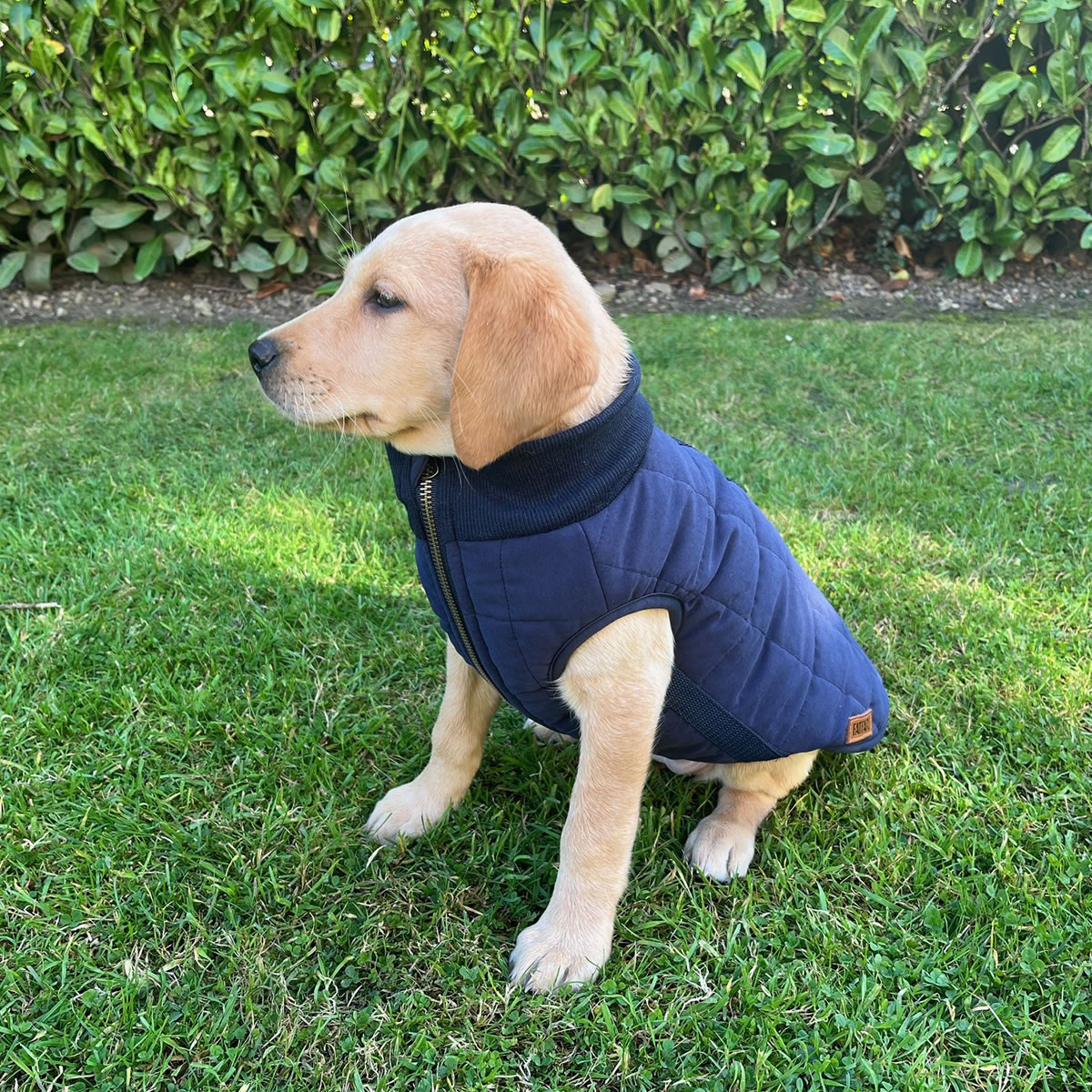 FatFace Harley Puffer Jacket - Image 7