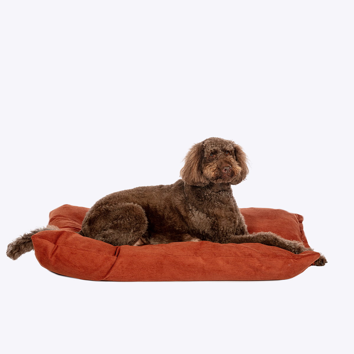 Elden Rust Deep Duvet