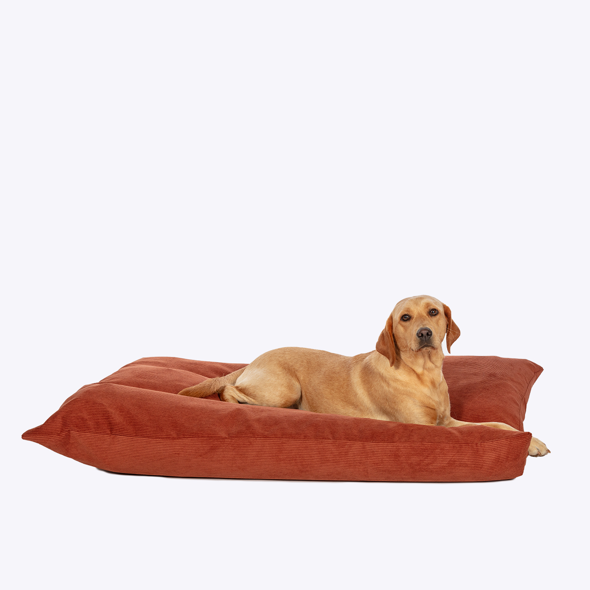 Elden Rust Deep Duvet - Image 5