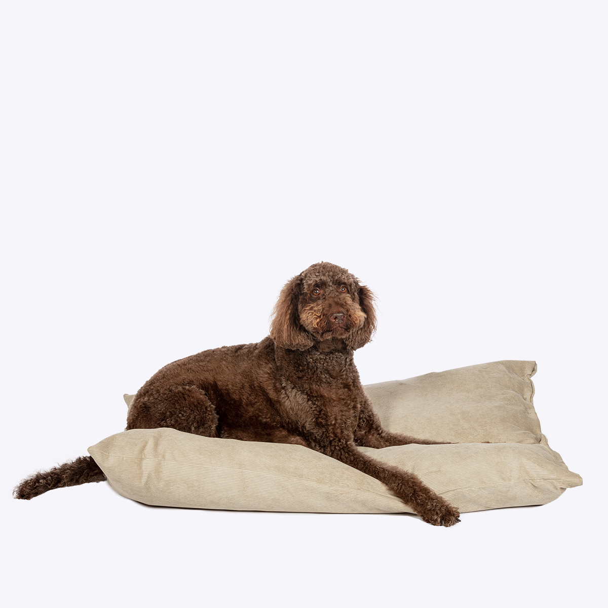 Elden Stone Deep Duvet