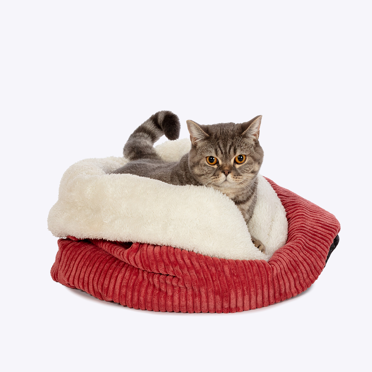 Pet Nest Berry