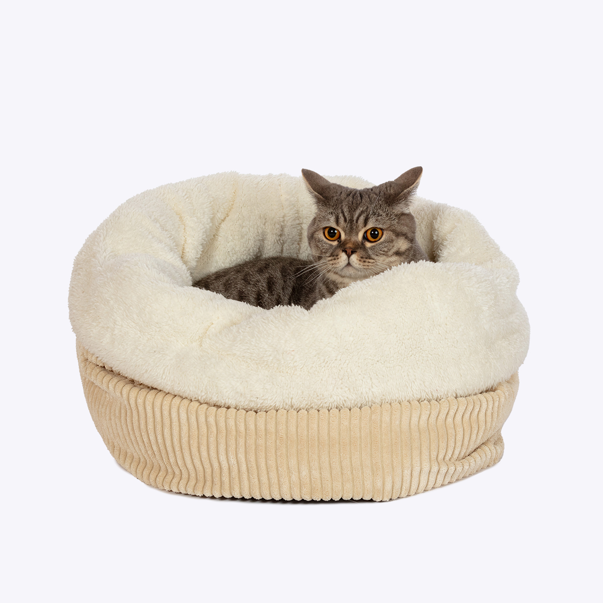Pet Nest Oatmeal